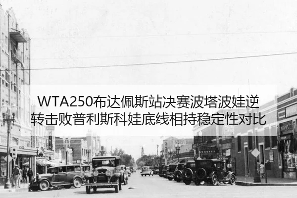 bu-da-pei-si-zhan-jue-sai-bo-ta-bo-wa-ni-zhuan-ji-bai-pu-li-si-ke-wa-di-xian-xiang-chi-wen-ding-xing-dui-bi-3-284.jpg